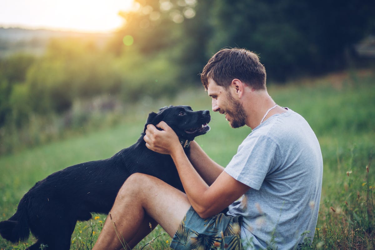 Man petting his dog