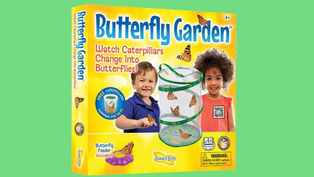 butterfly garden