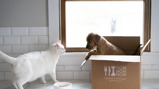 nom nom food delivery service for pets