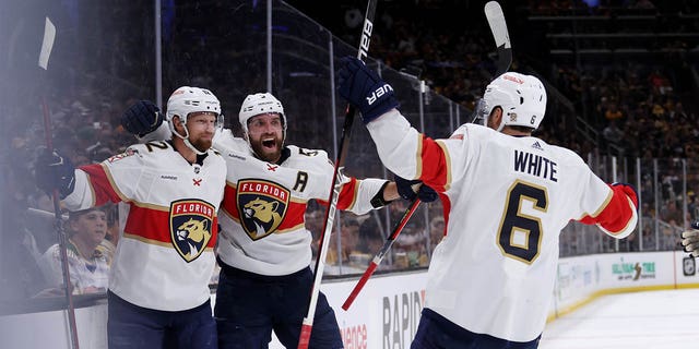 Florida Panthers celebrate goal