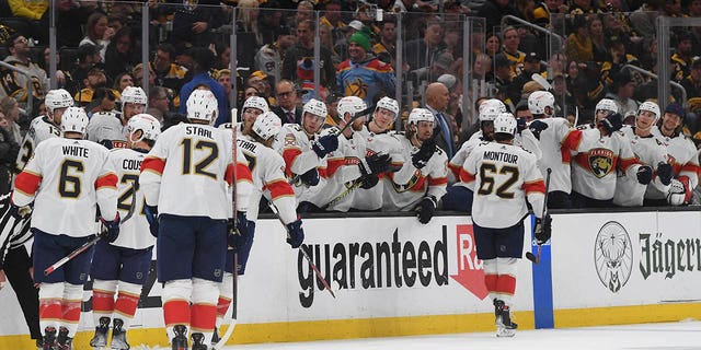 Florida panthers greet on bench