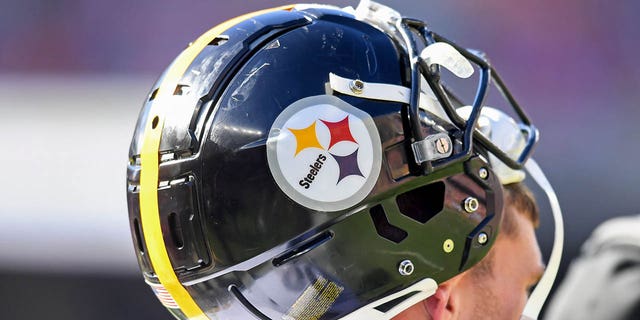 Steelers helmet